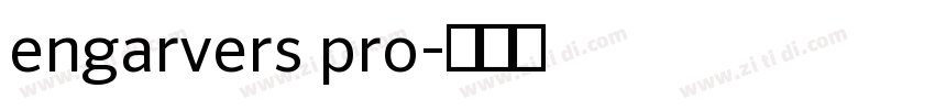 engarvers pro字体转换